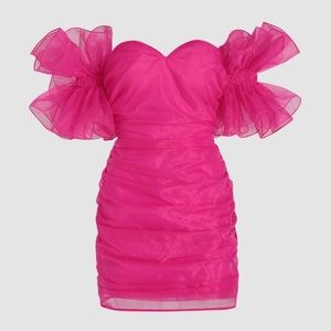 Pink Mesh mini Dress